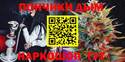 МДПВ Будённовск