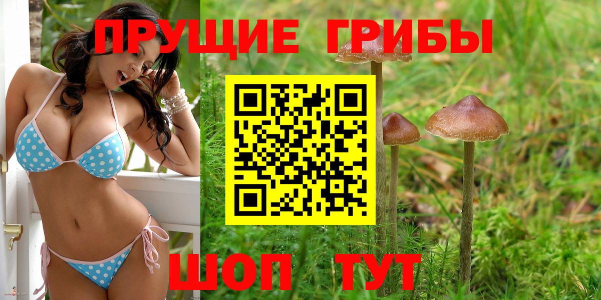 Нарьян-Мар  Галлюциногенные грибы MAGIC MUSHROOMS  Вход с VPN  Псилоцибиновые грибы прущие грибы 